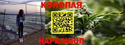 Альфа ПВП Новозыбков
