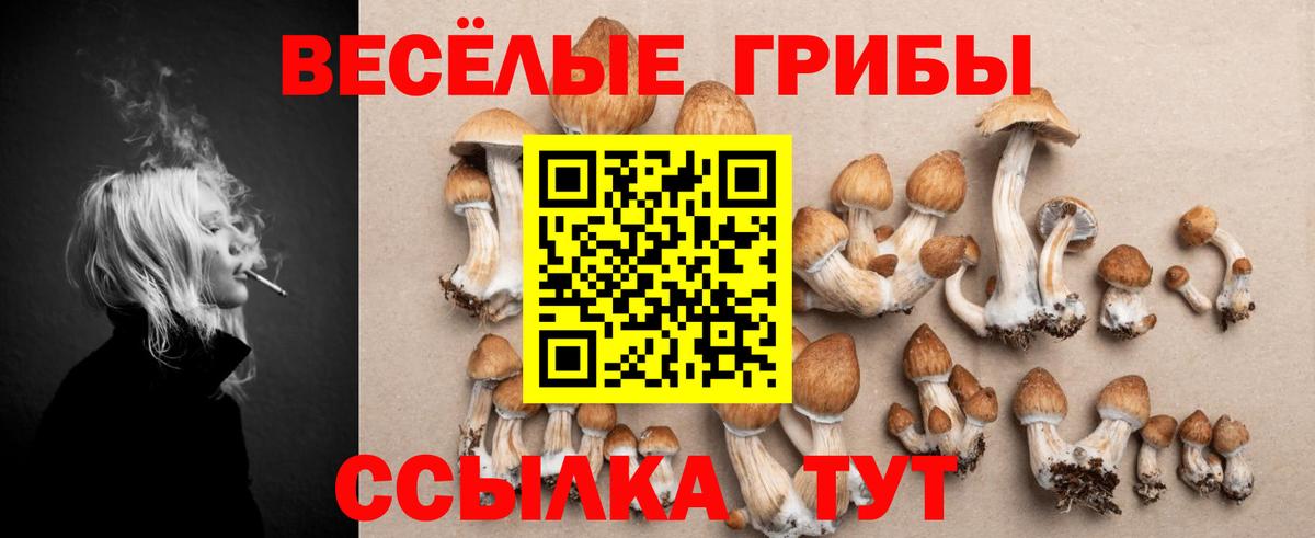 Псилоцибиновые грибы GOLDEN TEACHER Сосновый Бор